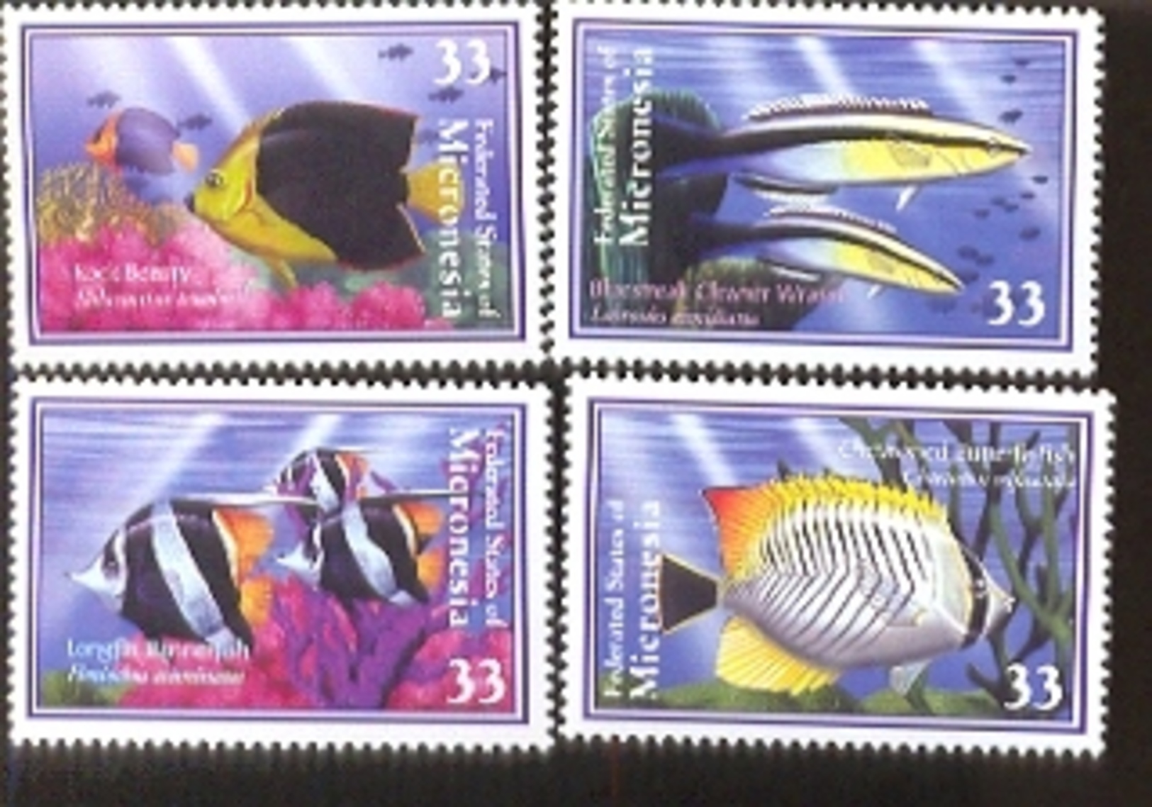 MICRONESIA   395-8  MINT NEVER HINGED SET OF STAMPS OF FISH-MARINE LIFE   # S-538-1   ( - Peces