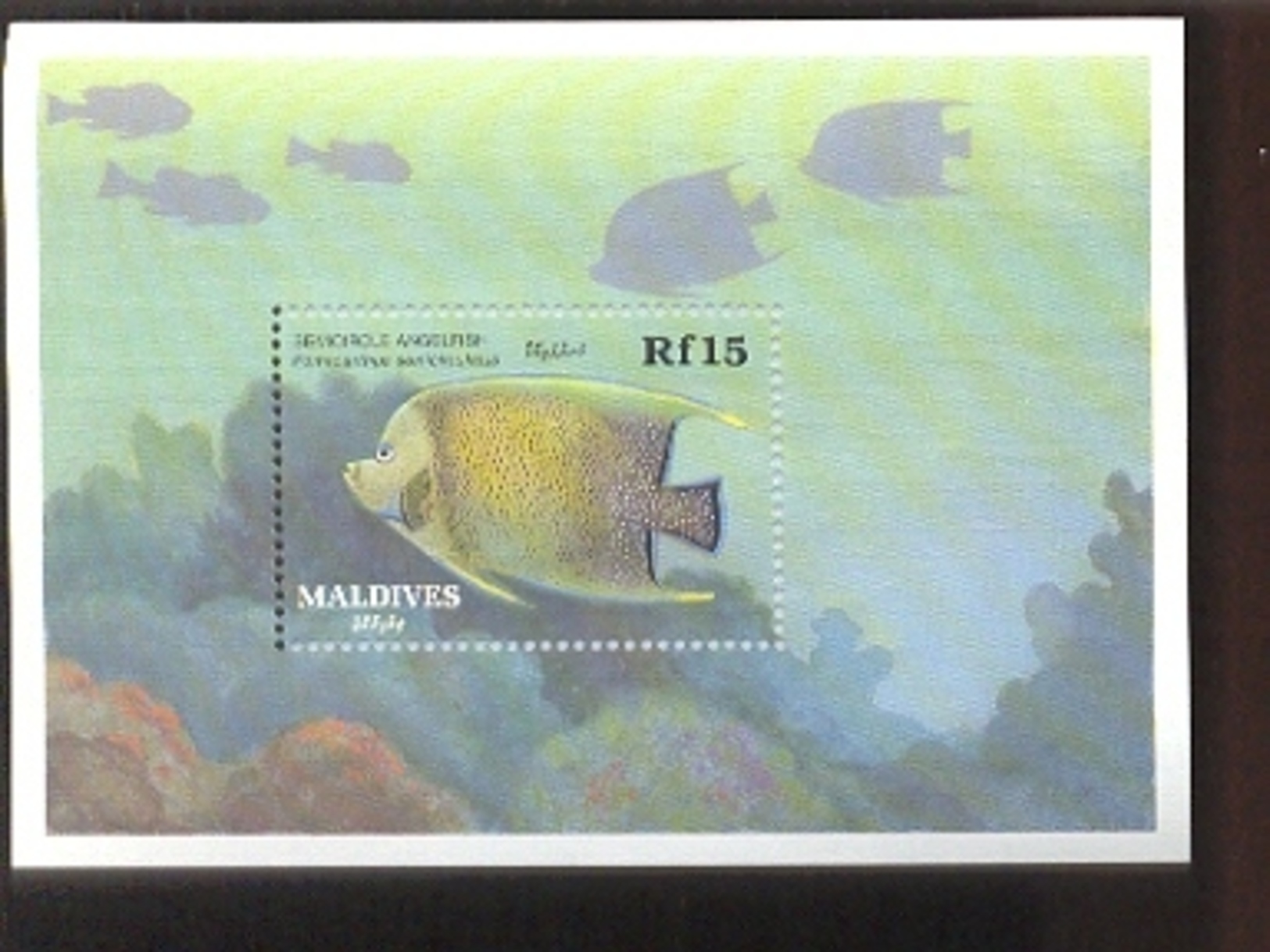 MALDIVES   1343  MINT NEVER HINGED SOUVENIR SHEET OF FISH-MARINE LIFE - Fishes