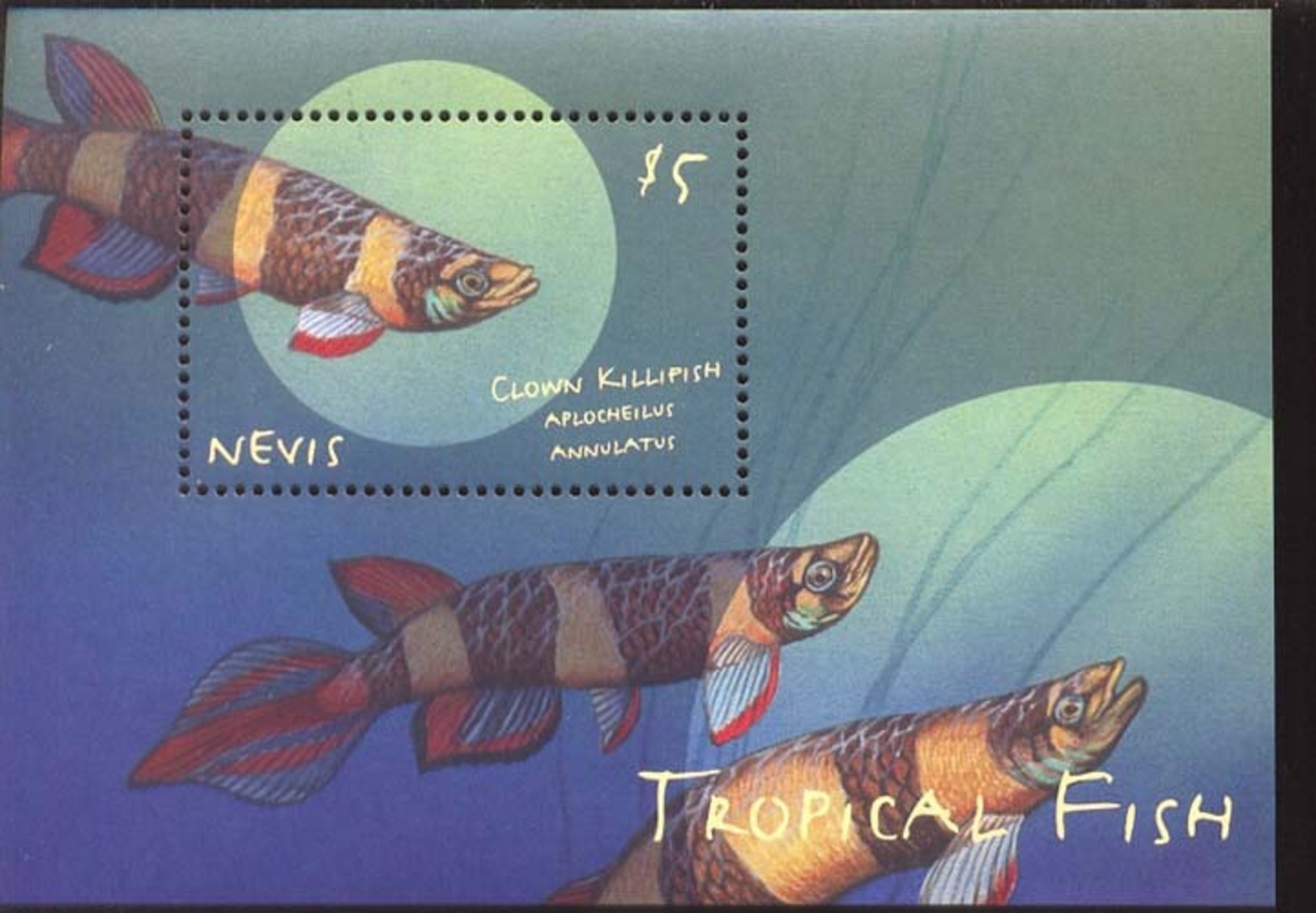NEVIS    1194 MINT NEVER HINGED SOUVENIR SHEET OF FISH-MARINE LIFE  #   692-5   ( - Fishes