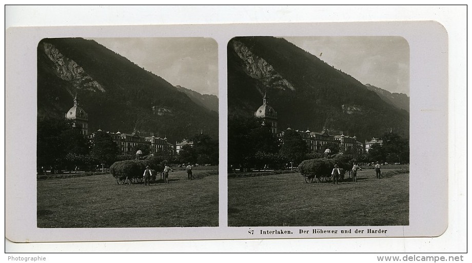 Suisse Interlaken Höheweg Und Der Harder Ancienne Stereo Photo NPG 1900 - Stereoscopic