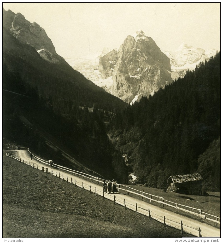 Suisse Rosenlaui Wetterhorn Ancienne Stereo Photo Wehrli 1900 - Stereoscopic