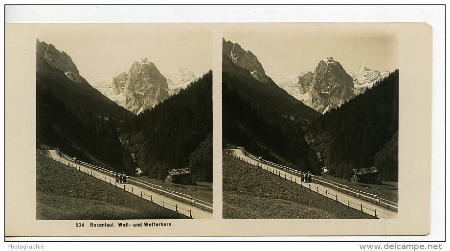 Suisse Rosenlaui Wetterhorn Ancienne Stereo Photo Wehrli 1900 - Stereoscopic