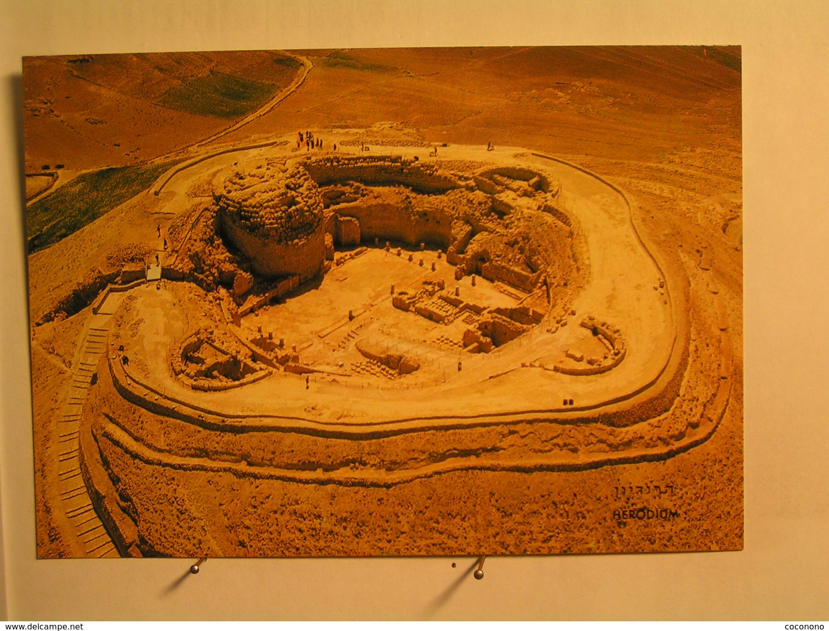 Herodium - Ruines - Palestine