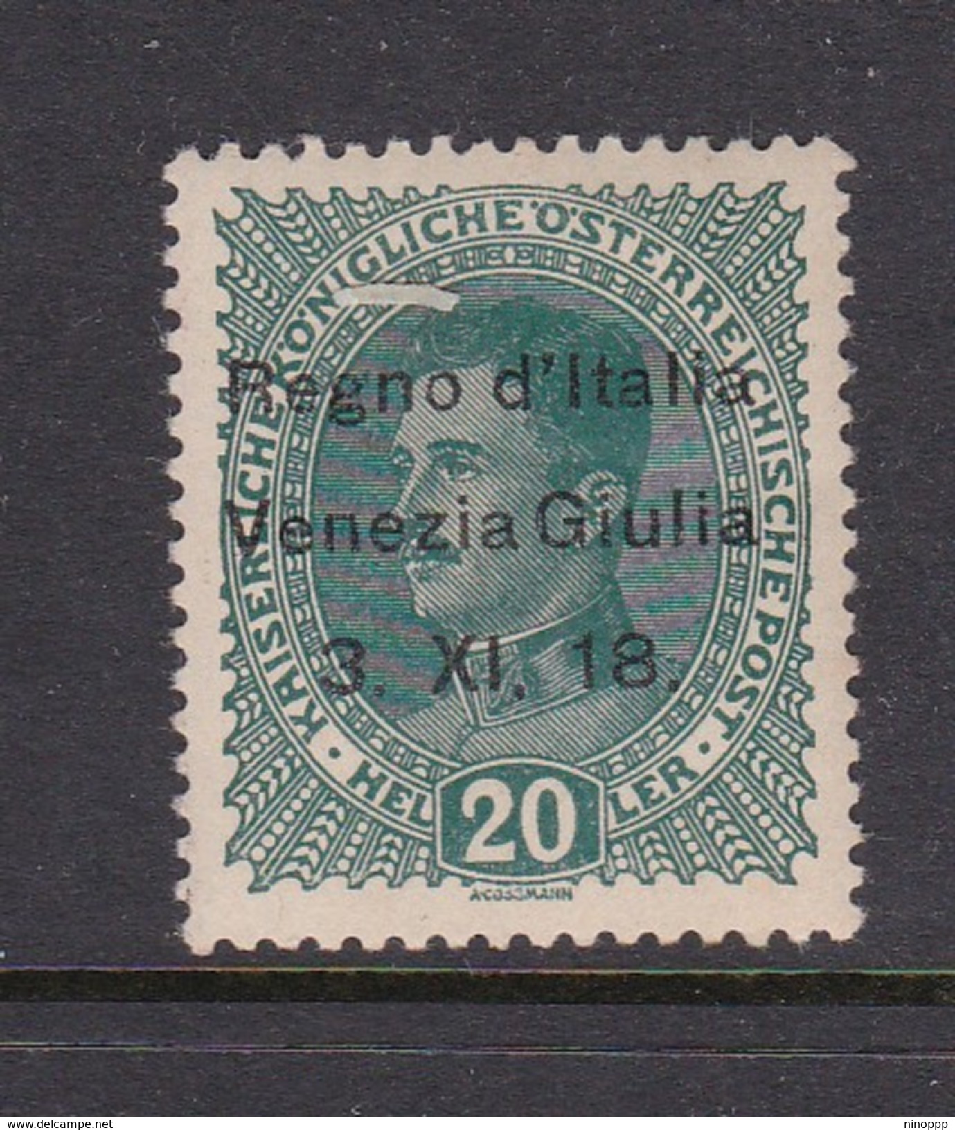 Venezia Giulia N7 1918 Austrian Stamps Overprinted 20h Dark Green Used - Austrian Occupation