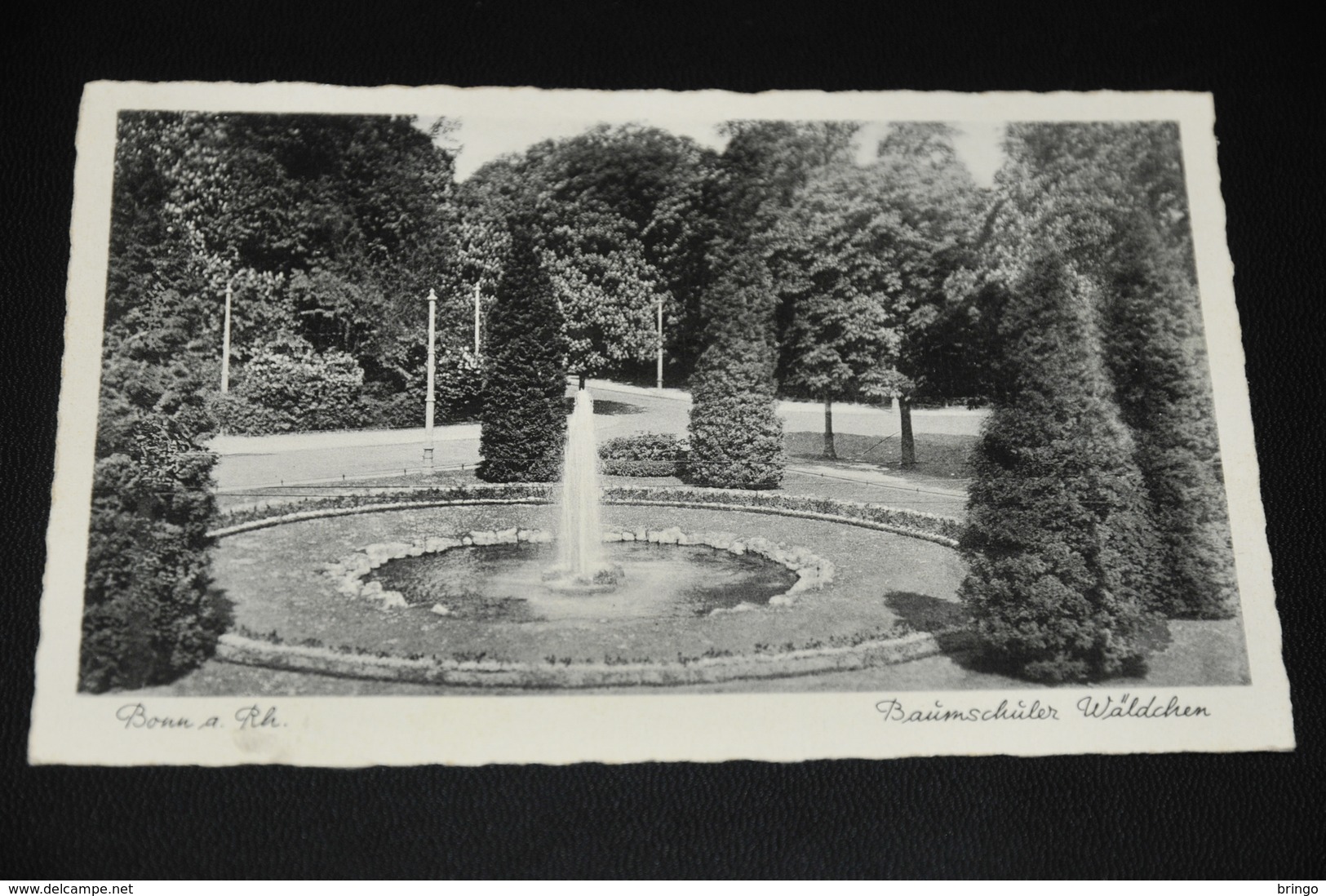 1551- Bonn A. Rh. Baümschüler Wäldchen - Bonn