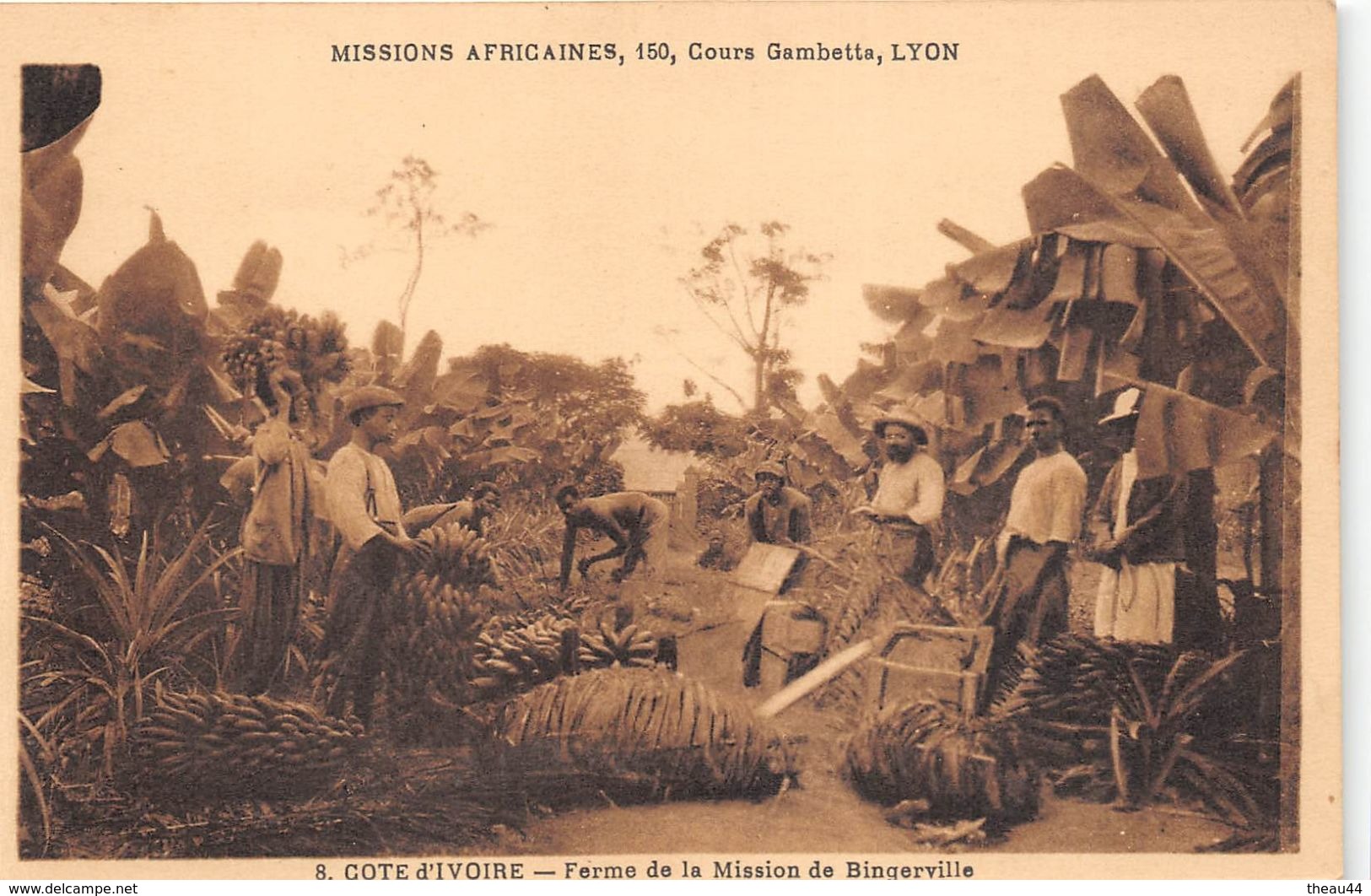 ¤¤  - 8  -  CÔTE D' IVOIRE  -  Ferme De La Mission De Bingerville  -   ¤¤ - Côte-d'Ivoire