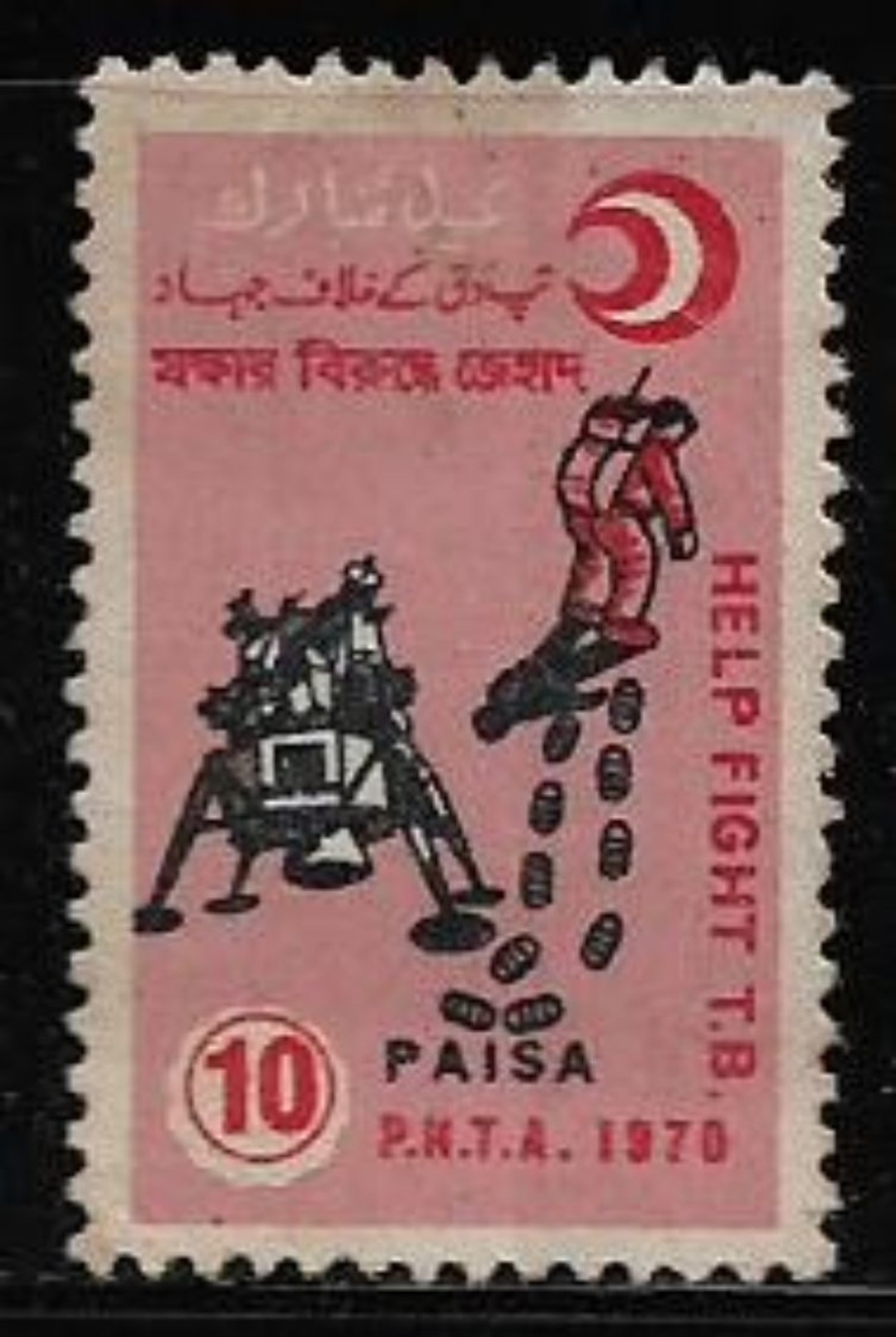 Pakistan Help Fight T.B. 10p Used Stamp # AR:90 - Pakistan