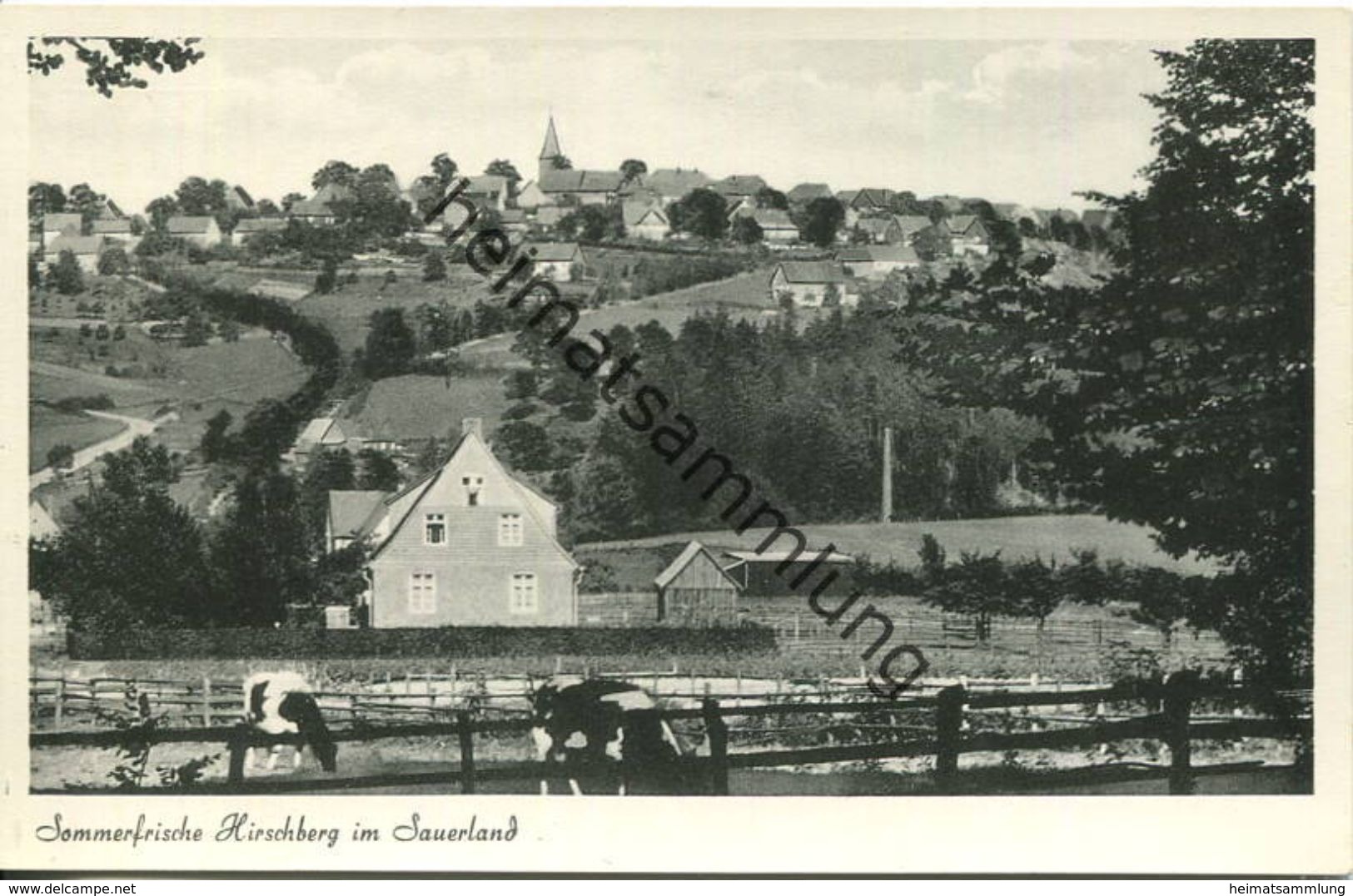 Hirschberg Im Sauerland - Verlag Foto-Wiemer Warstein - Warstein