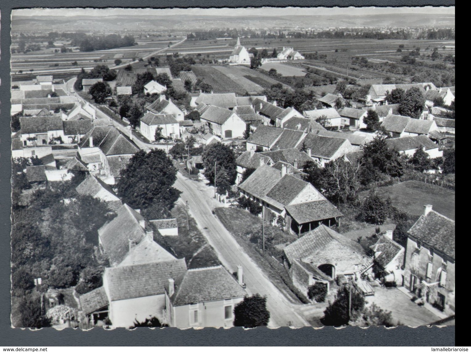 21, EN AVION AU DESSUS DE ...SAINTE MARIE LA BLANCHE, VUE GENERALE - Autres & Non Classés