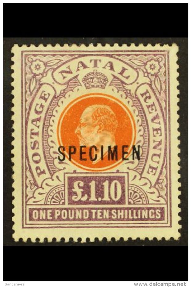 NATAL  1904 - 08 &pound;1.10s Brown Orange And Deep Purple, Ovptd "Specimen", SG 162s, Very Fine And Fresh Mint.... - Sin Clasificación