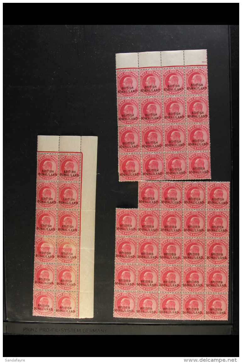 1903  KEVII 1a Carmine (SG 26) In Never Hinged Mint Blocks Of 24, 22, 16 And Two Blocks Of 12. A Few Stamps... - Somaliland (Herrschaft ...-1959)