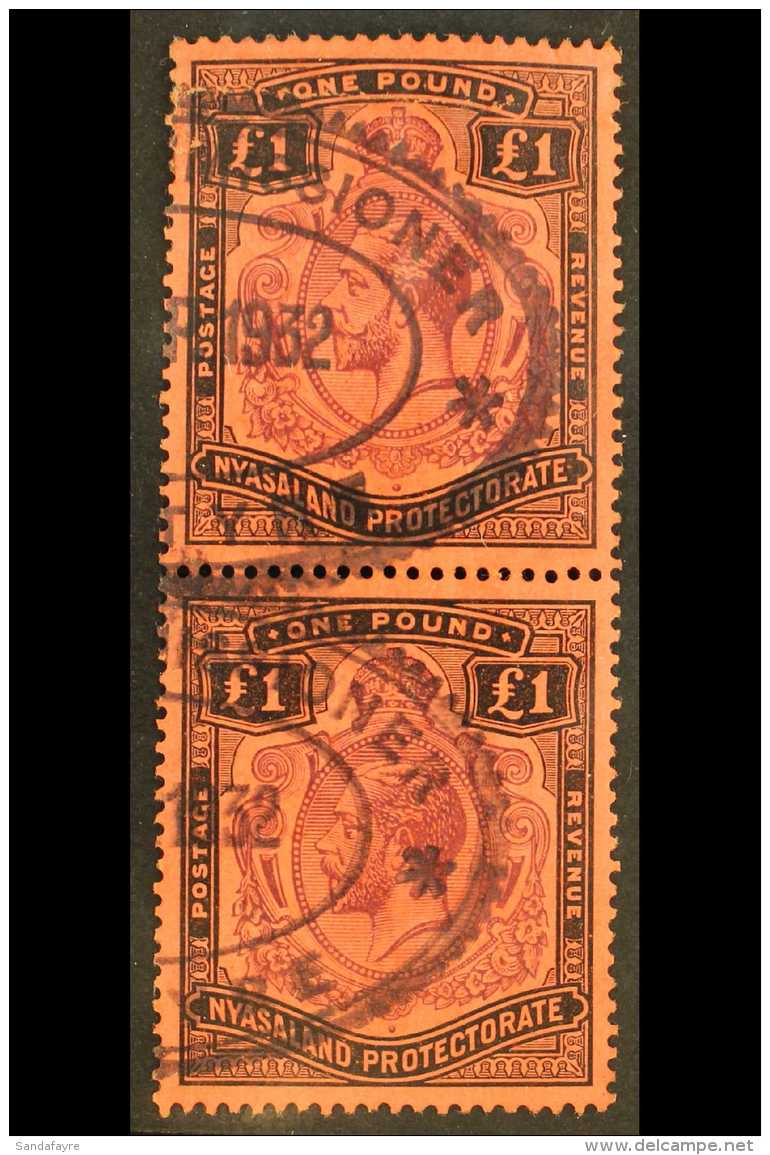 1913-21  &pound;1 Purple &amp; Black On Red, Vertical Pair, BROKEN LEAF At Lower Right (not The Listed Variety,... - Nyassaland (1907-1953)