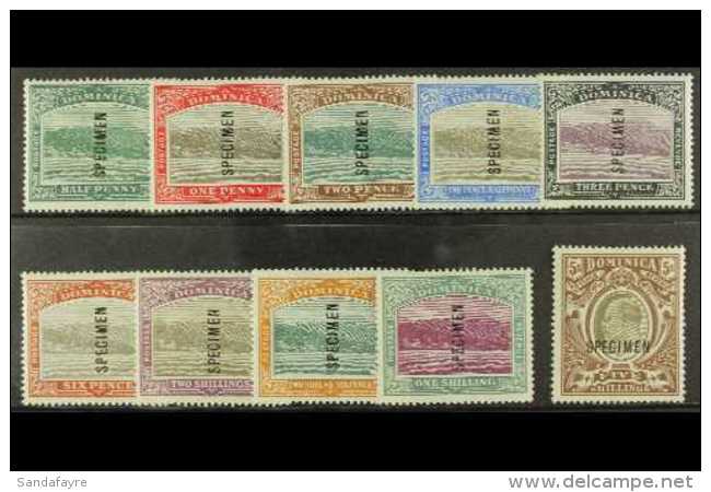 1903-07  Complete Set Overprinted "SPECIMEN", SG 27s/36s, Very Fine Mint. (10 Stamps) For More Images, Please... - Dominica (...-1978)