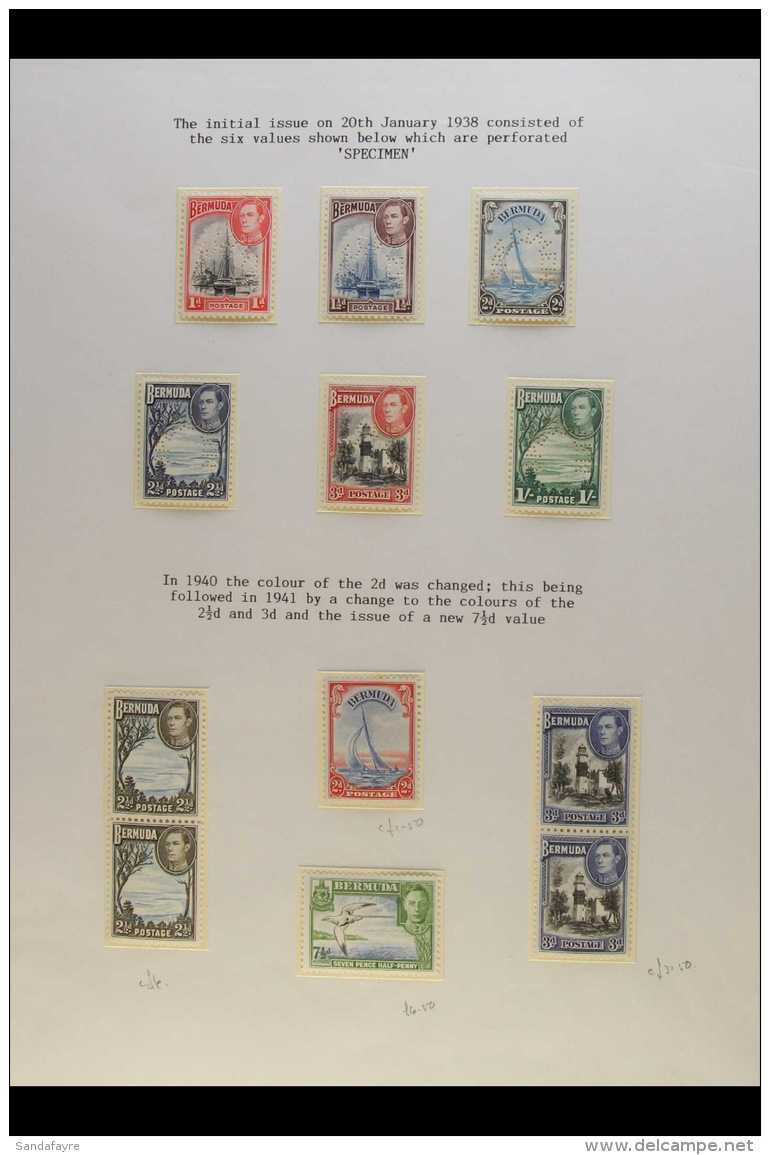 1938-52 PICTORIALS.  SPECIALIZED SUPERB MINT &amp; NHM COLLECTION On Pages, Includes 1938-52 All Values With... - Bermuda