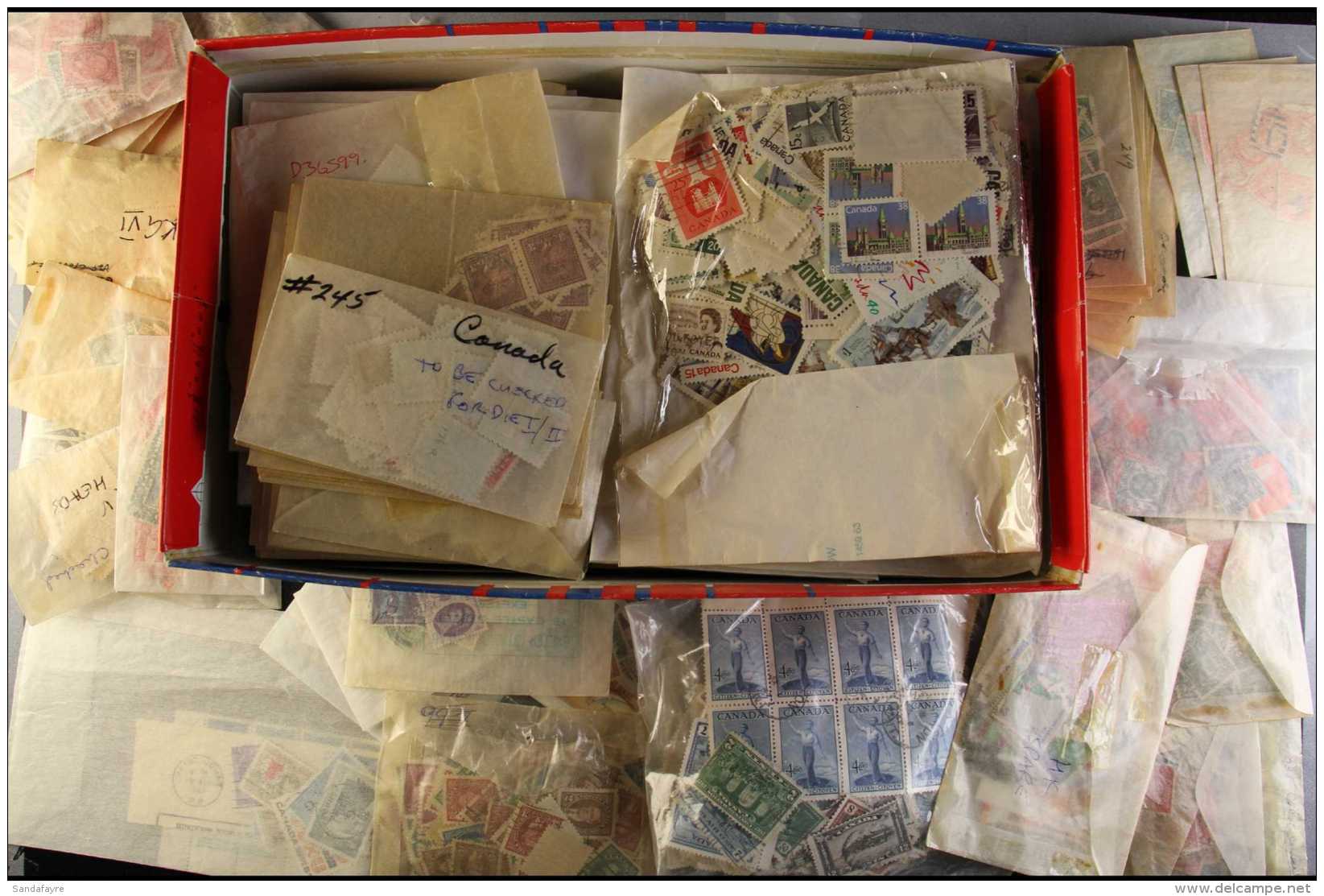 COMMONWEALTH GLASSINE BONANZA  A Shoebox Filled With An All Reign, Mostly Used Range In Glassine Envelopes &amp;... - Altri & Non Classificati