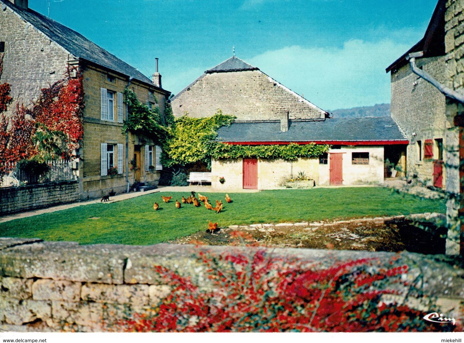 TORGNY-FERME- - Rouvroy