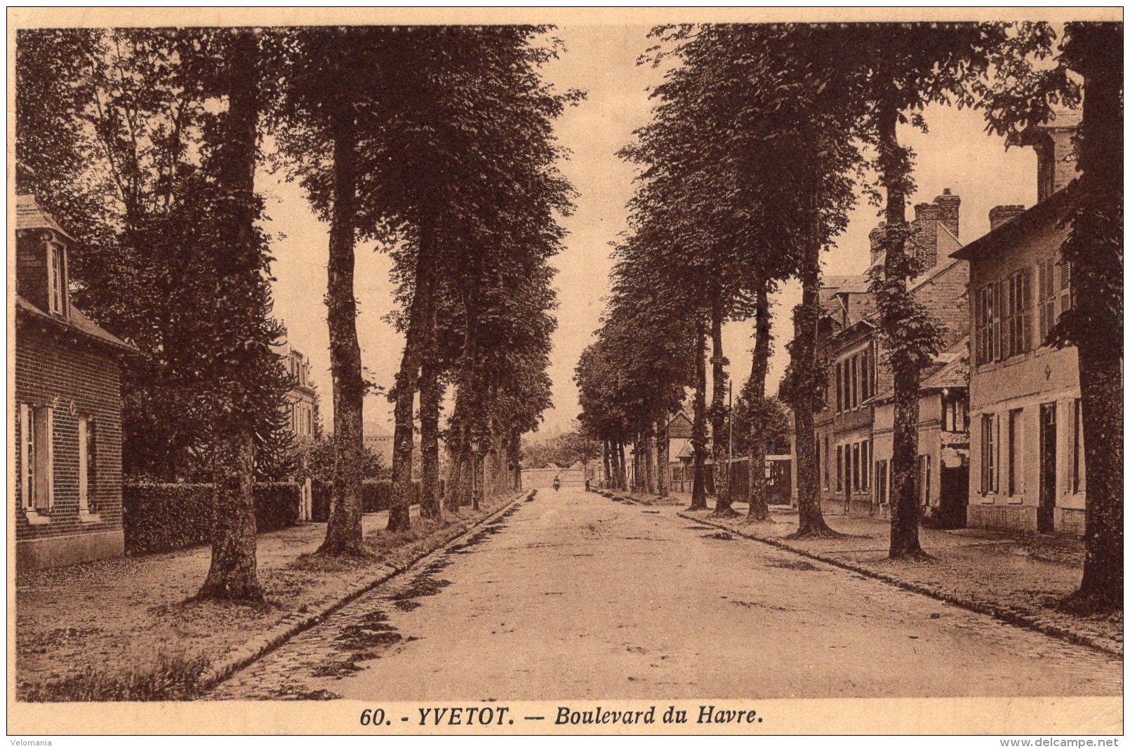 V11269 Cpa 76 Yvetot - Boulevard Du Havre - Yvetot