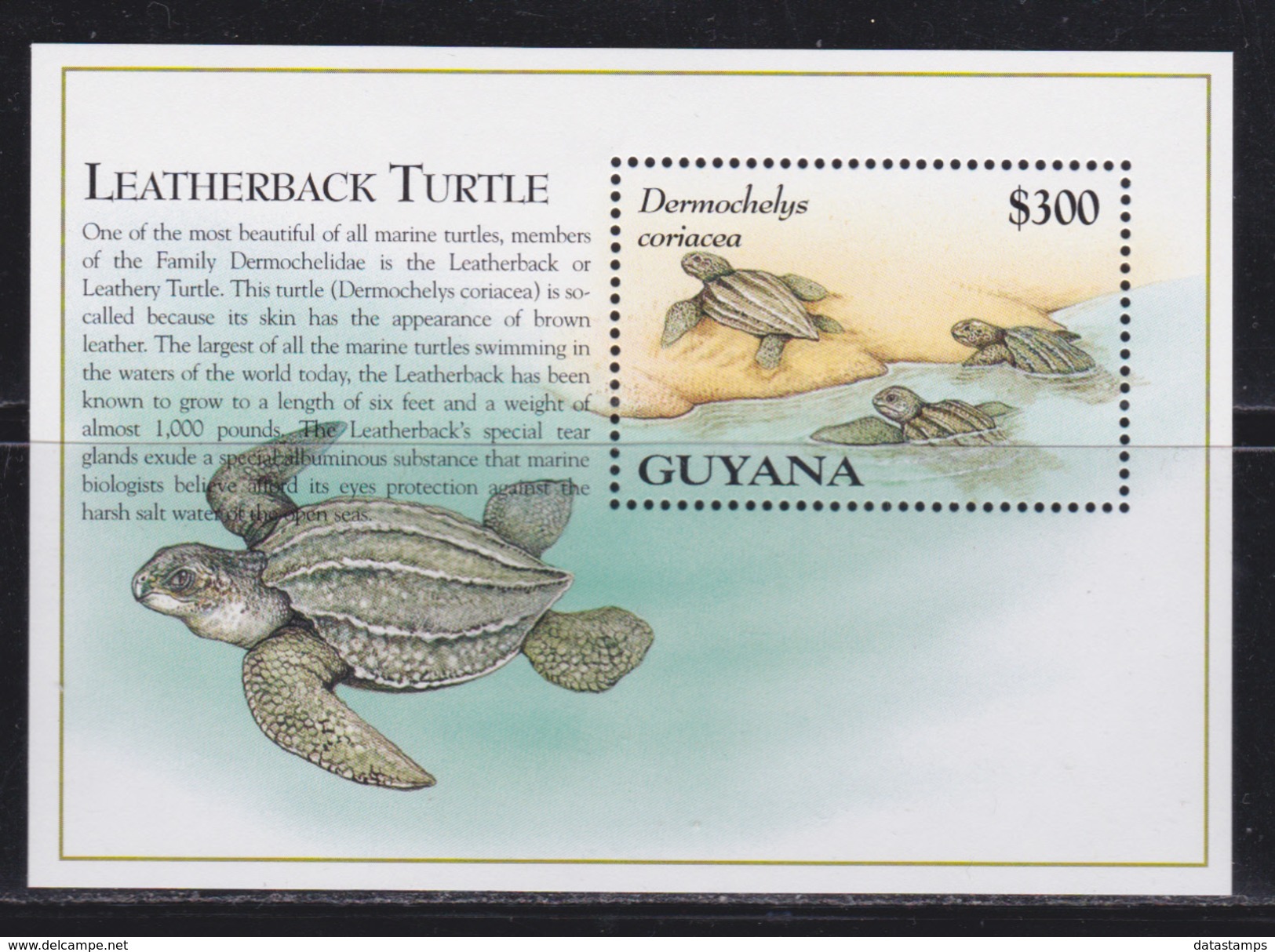 Guyana - Michel N° Bl 473 - XX - Cote 5.00 Euro - Tortues