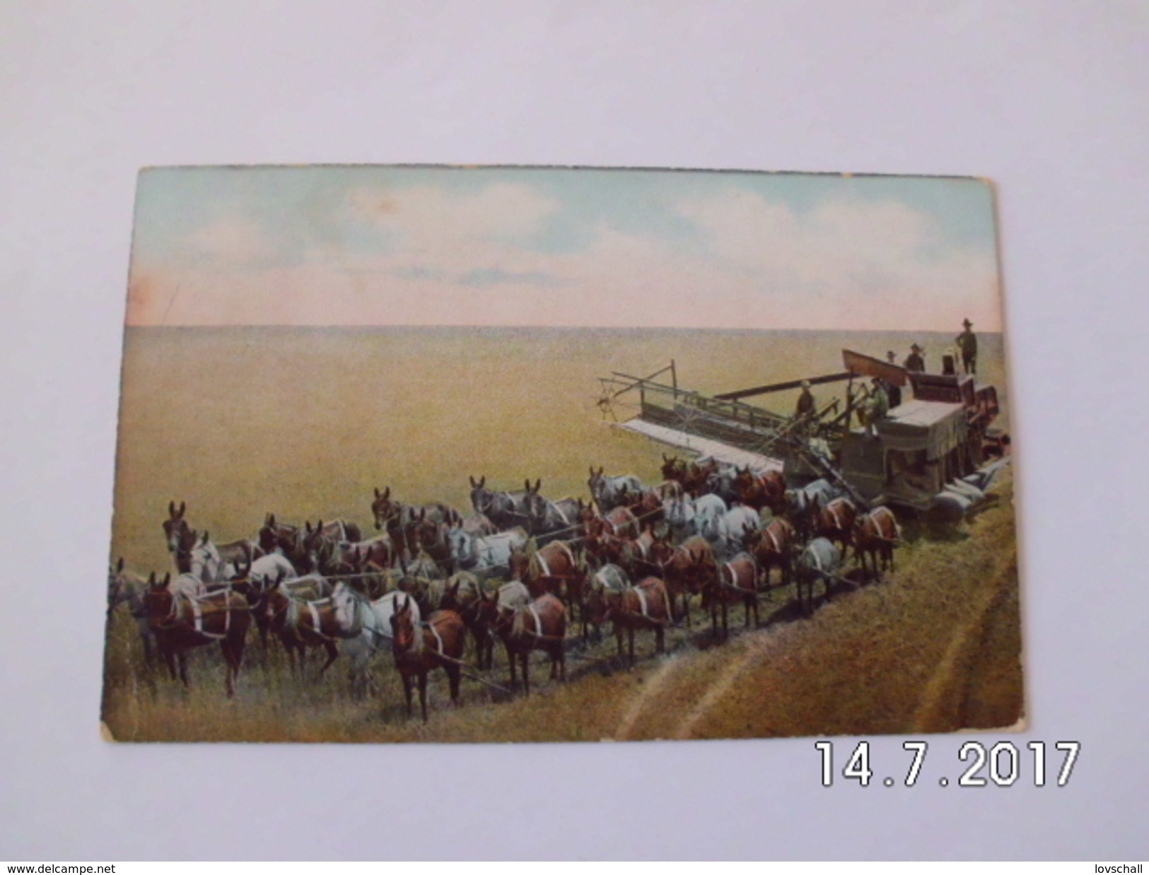 Fresno County. - Harvesting Scene. (15 - 6 - 1908) - Fresno