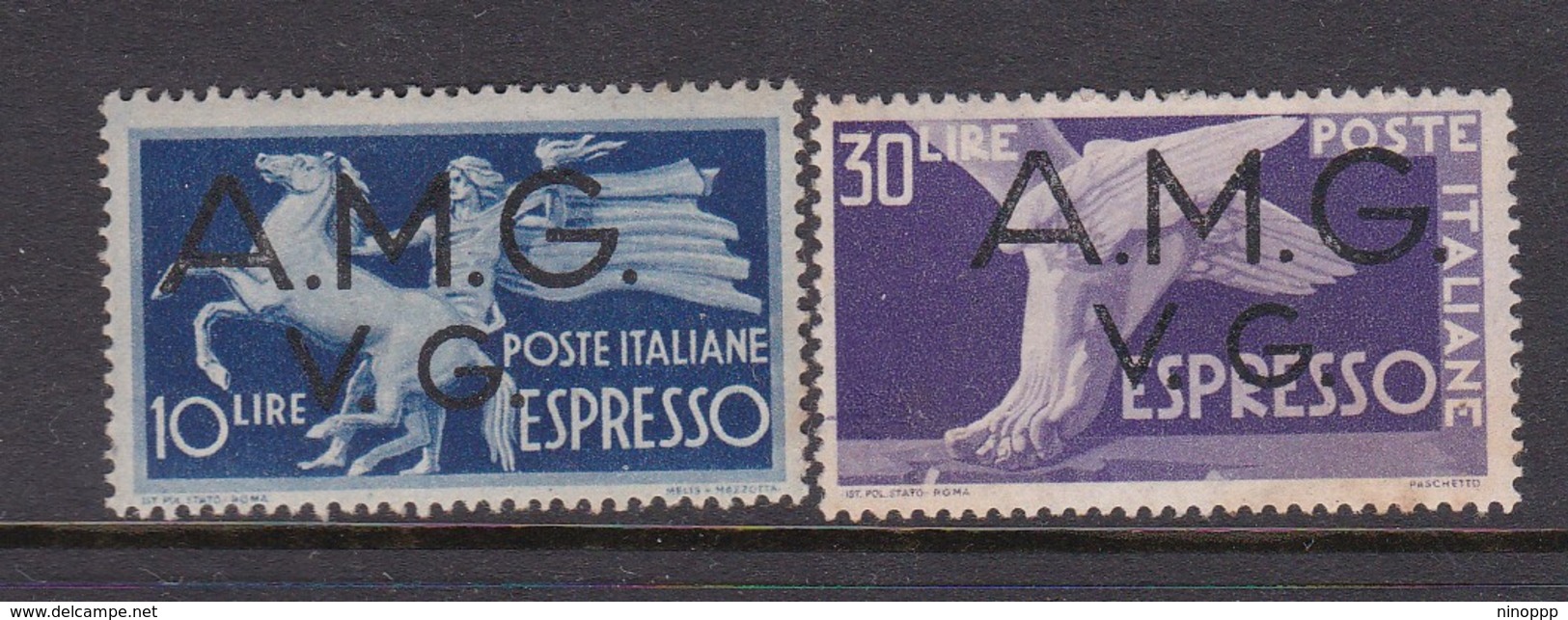 Venezia Giulia And Istria  A.M.G.V.G. 1946 Espressi S 1-2 Mint Hinged - Neufs