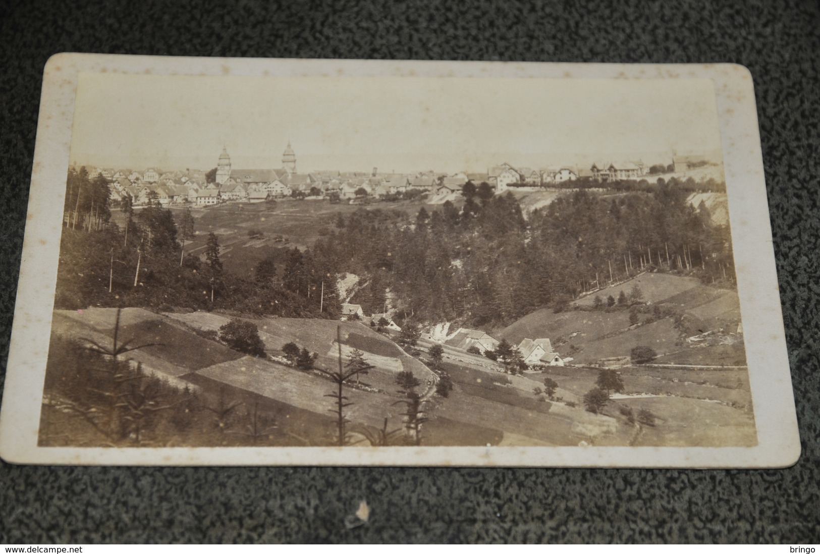 1579- Freudenstadt Und Umgebung, Foto Auf Pappe/Karton, Ca. 10 X 15 Cm. - Bad Bertrich