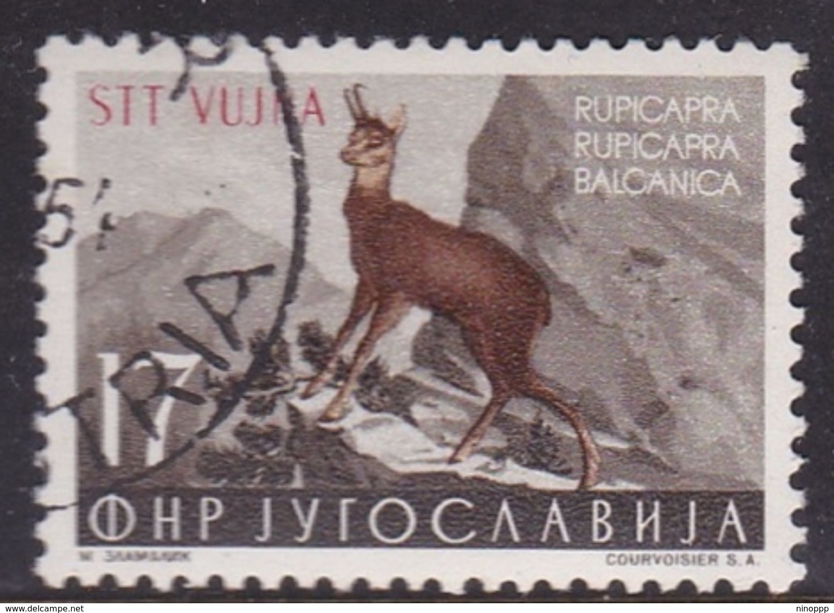 Italy Trieste B Yugoslav Occupation S 105 1954 Animals  5d Capra Grey And Brown Used - Used