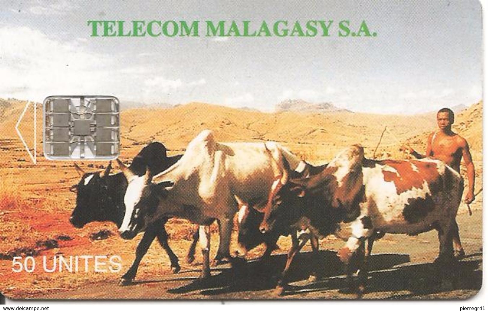 CARTE PUCE-50U--SC7-MADAGACAR-ZEBUS-V° MIASA HO ANAO- Gros N° Rge 00785611 En Bas A Droite-TBE - Madagascar