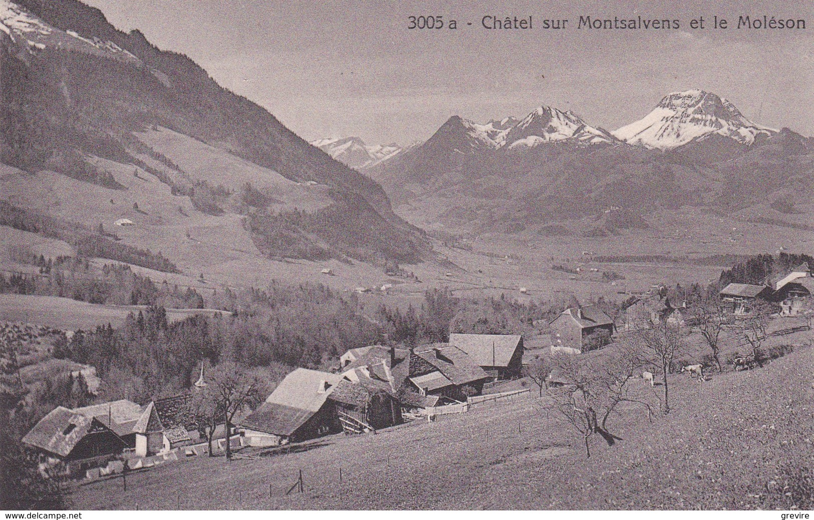 Châtel Sur Montsalvens Et Le Moléson - Châtel-sur-Montsalvens