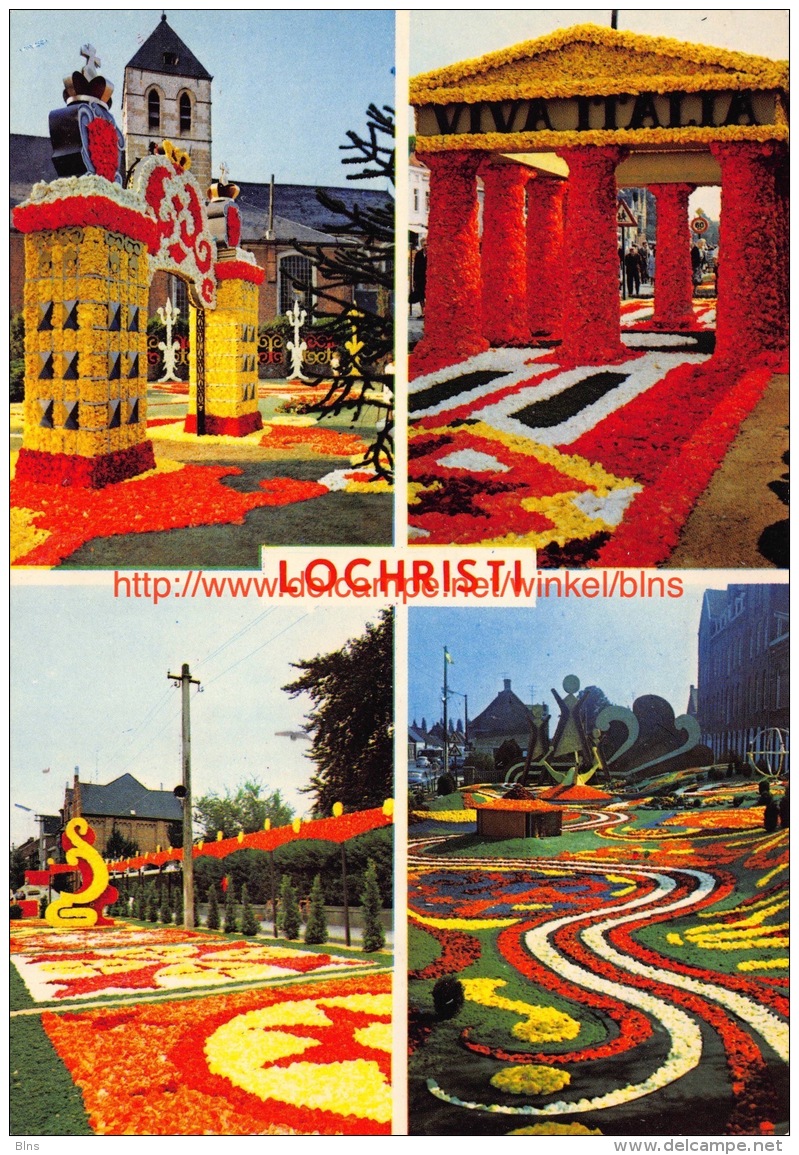 Begonia-Festival - Lochristi - Lochristi