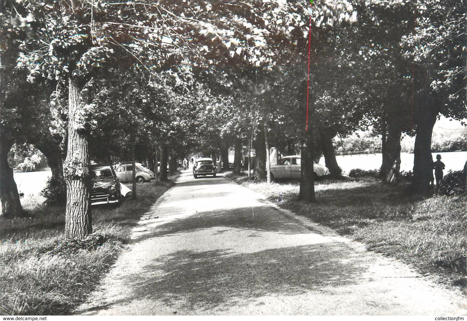 CPSM FRANCE 62 "Ardres, Avenue Du Lac" - Ardres