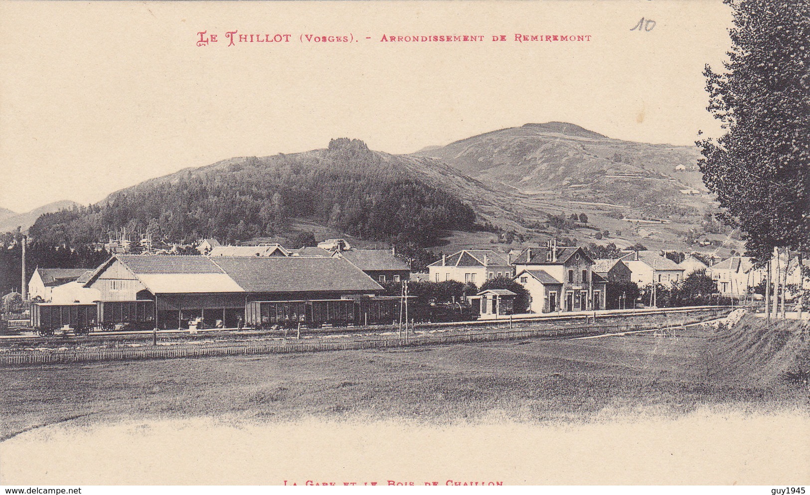 LE THILLOT   La GARE Et Le Bois De CHAILLON - Autres & Non Classés