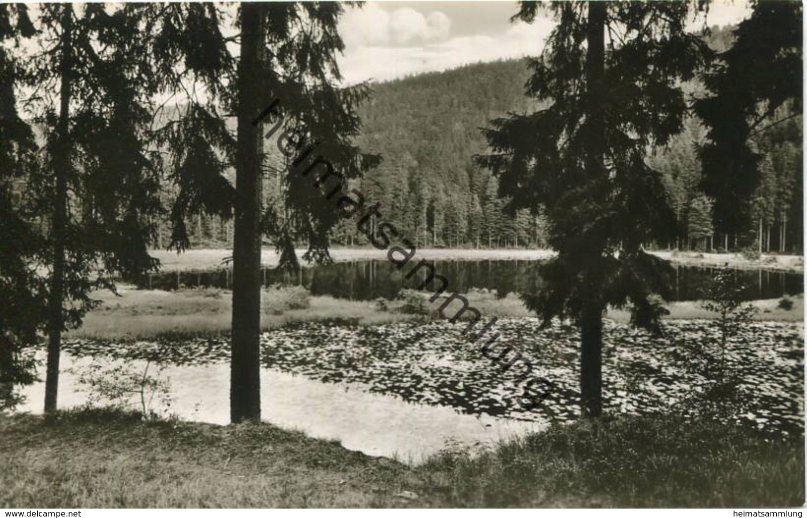 Huzenbach - Huzenbachersee - Foto-AK - Verlag Schöning & Co. Lübeck - Baiersbronn