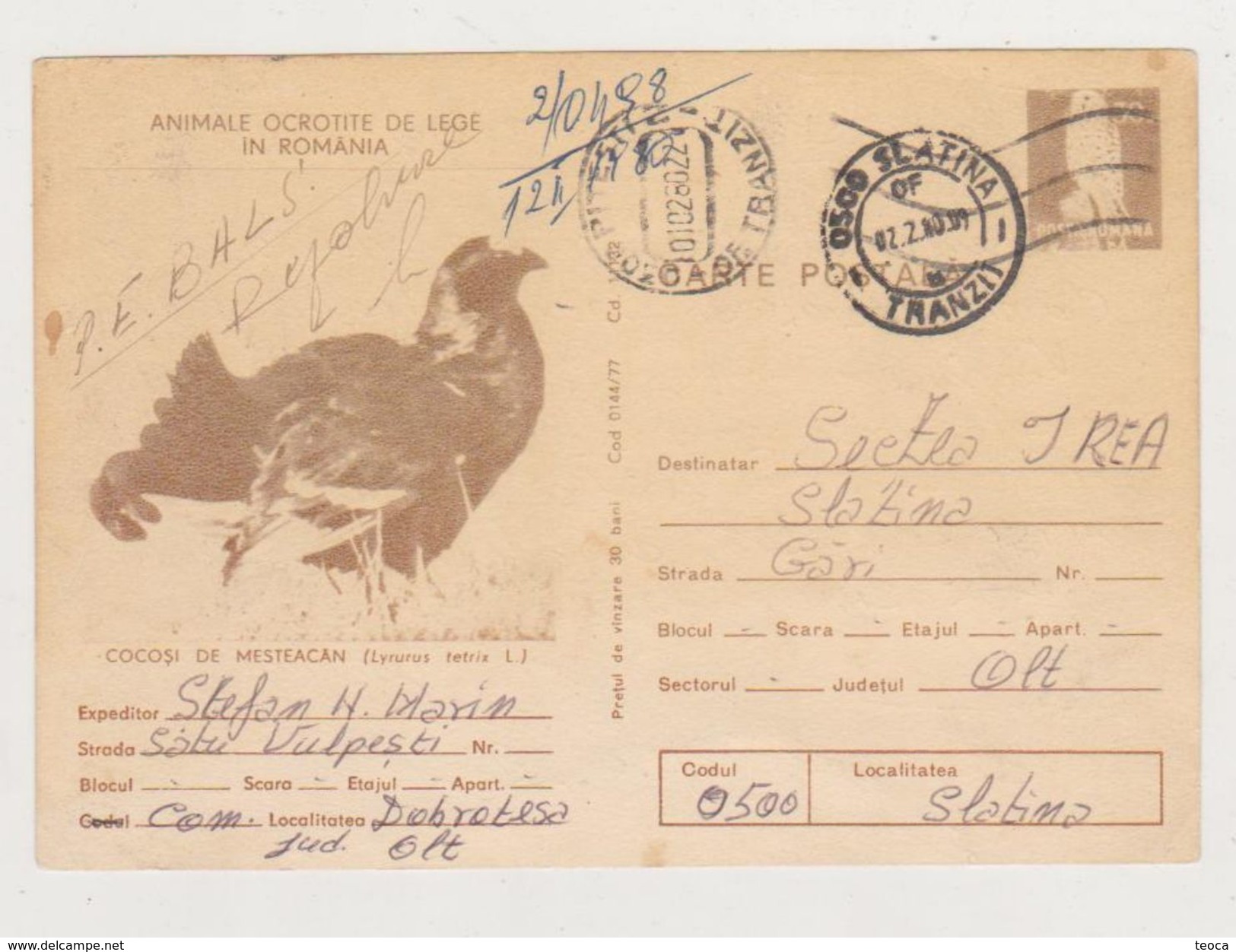 ROOSTERS MOUNTAINS BIRDS, , ROMANIA CIRCULATED 1980   SLATINA WITH POSTMARK PITESTI GARA - Enteros Postales