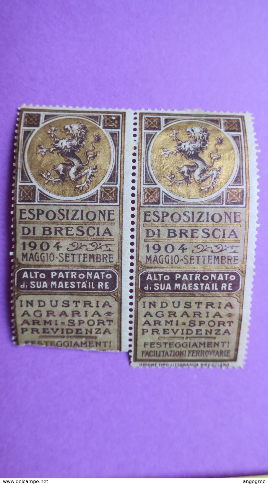 Vignette, Italie Brescia, Espozsizione Di Brescia 1904 Maggio-Sett Alto Patronato Di Sua Maesta Il Re  Indistria Agraria - Cinderellas