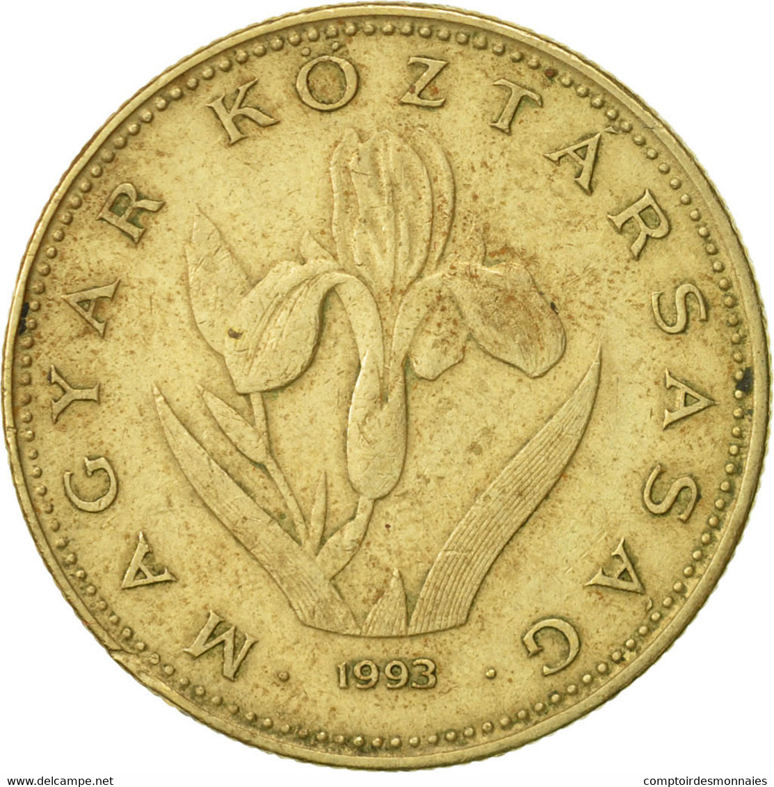 Monnaie, Hongrie, 20 Forint, 1993, Budapest, TTB, Nickel-brass, KM:696 - Hongrie