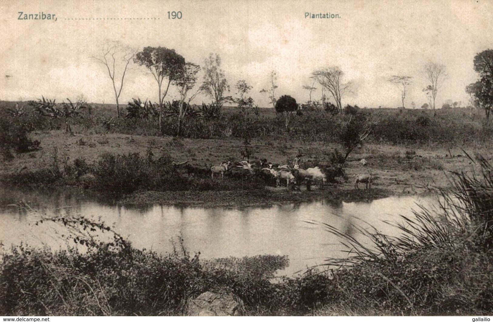 TANZANIE ZANZIBAR  PLANTATION - Tanzania