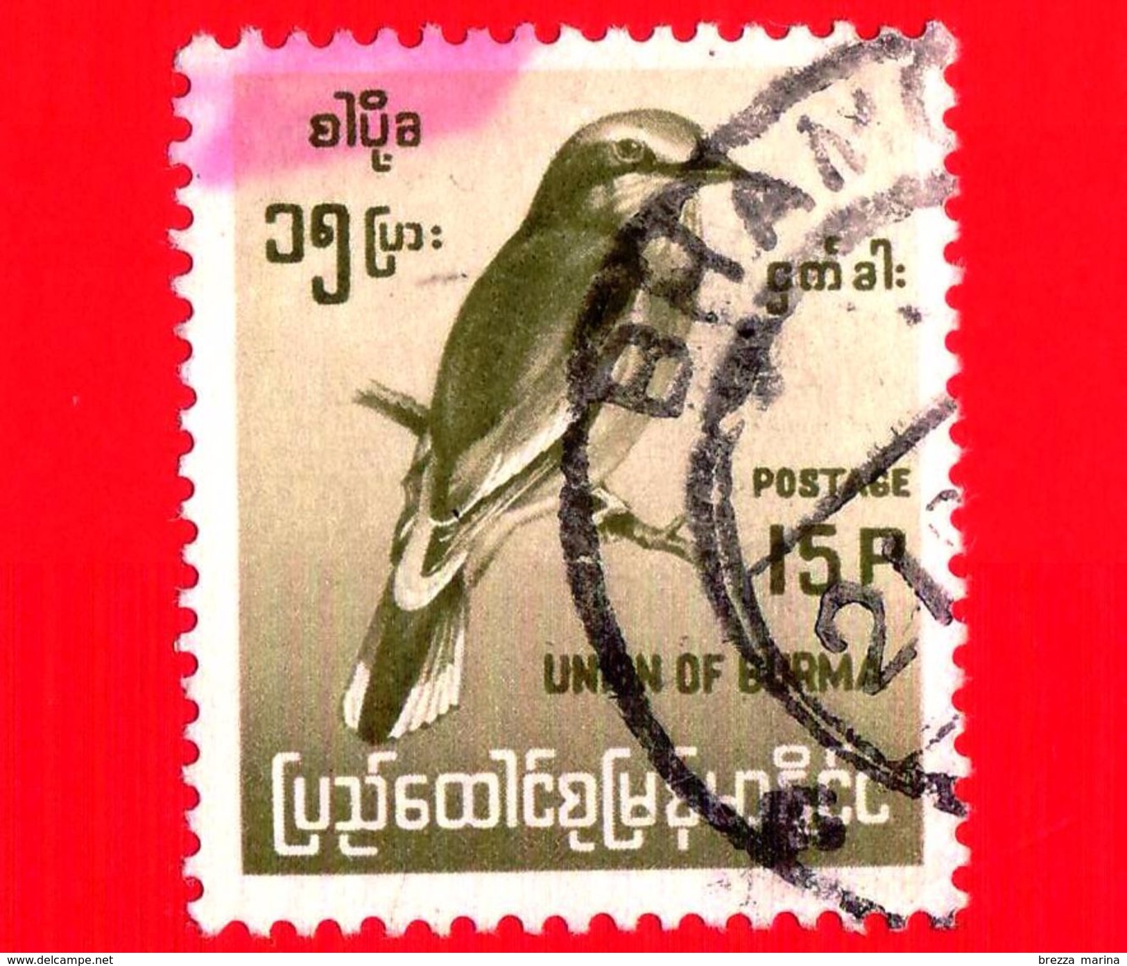 BURMA - Myanmar (Birmania)  - Usato -  1964 - Uccelli - Birds - Indian Roller (Coracias Benghalensis) - 15 - Myanmar (Burma 1948-...)