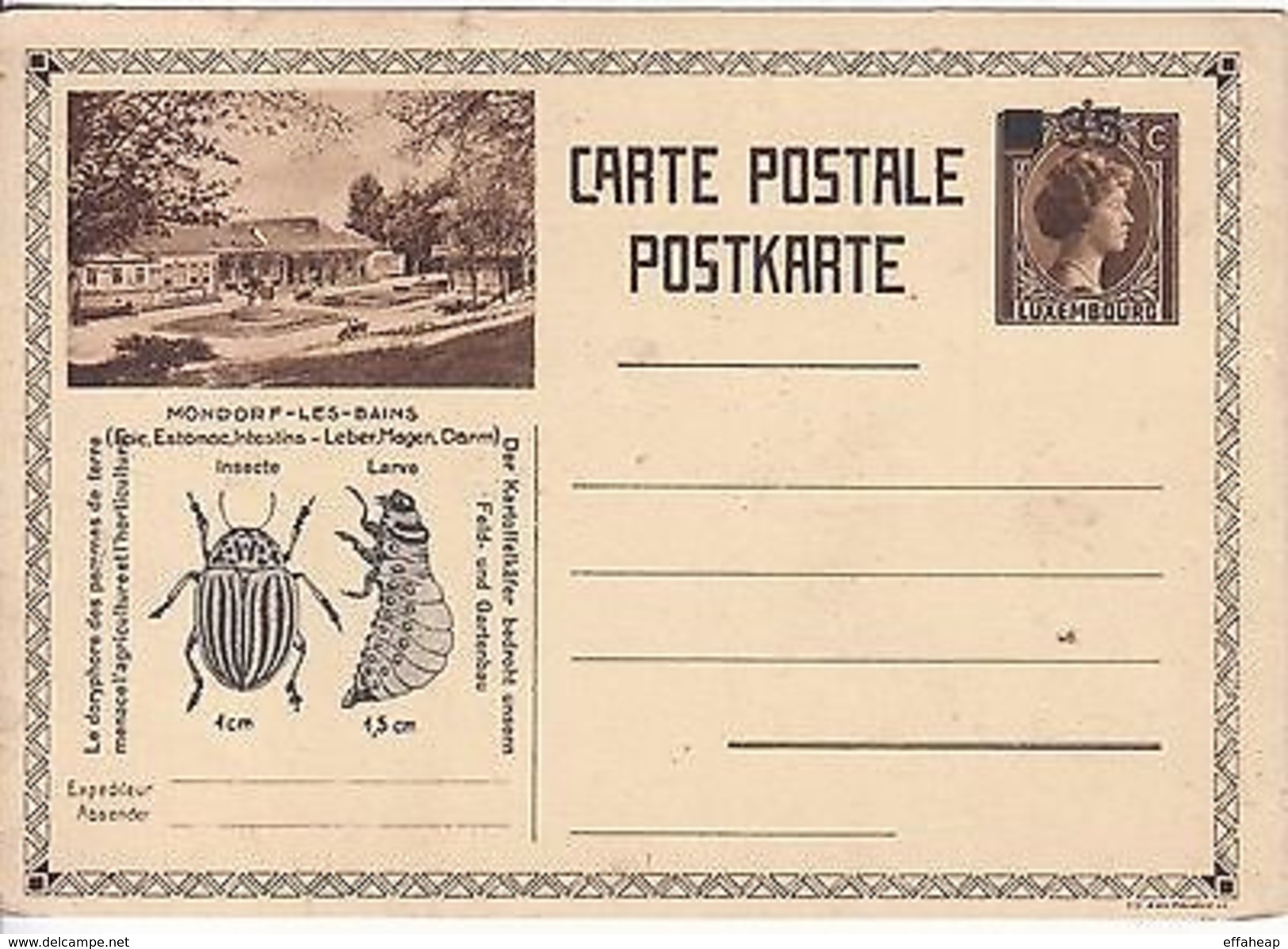 Luxembourg: Printed Postcard Mondorf Les Bains, Insects And Larvae Illustrations - Other & Unclassified