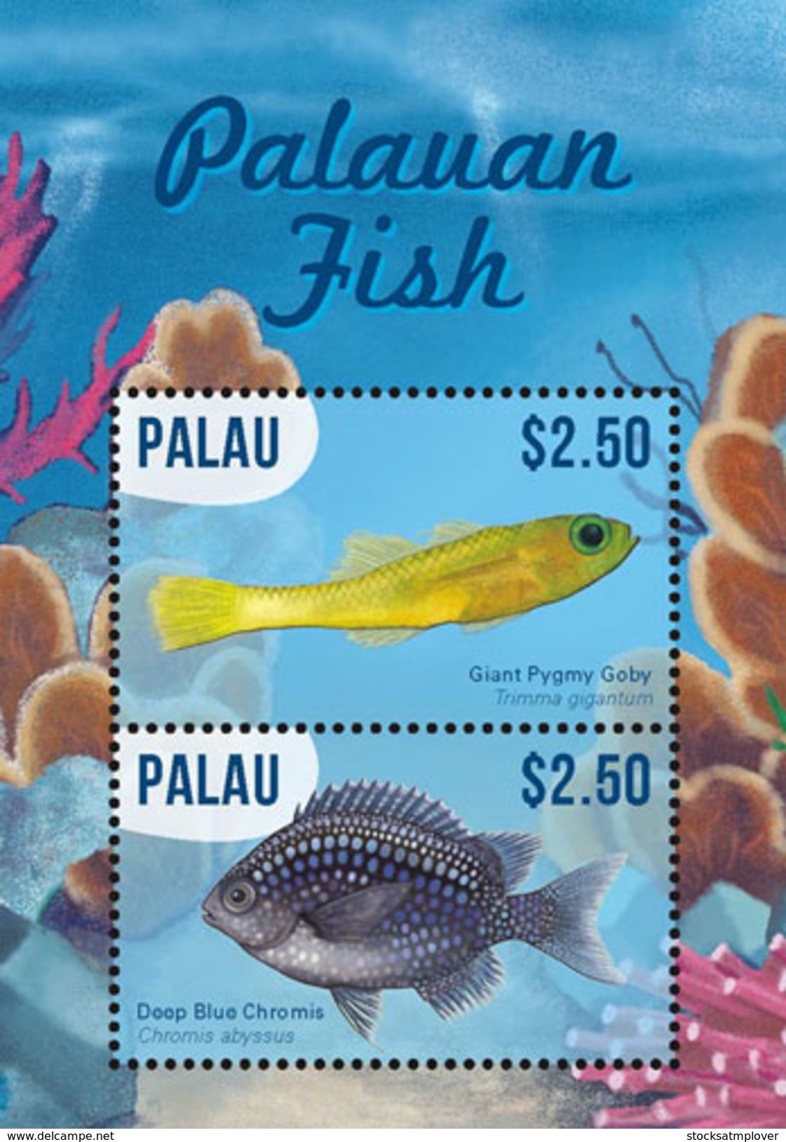 Palau 2016 Animal Fishes - Fische