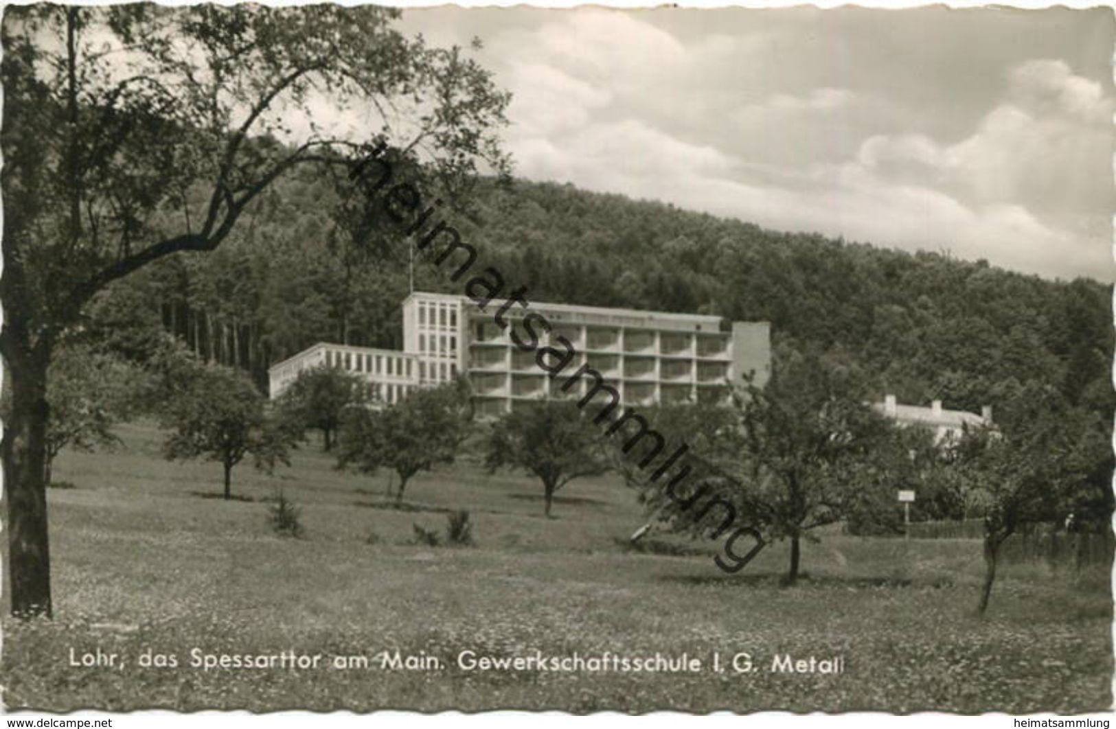 Lohr Am Main - Gewerkschaftsschule I.G. Metall - Foto-AK - Verlag August Faßnacht Lohr - Lohr