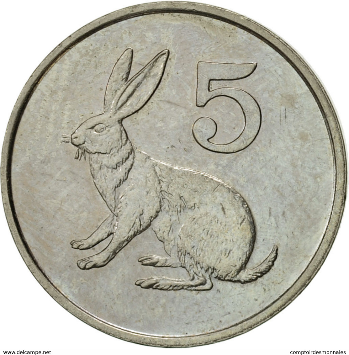 Monnaie, Zimbabwe, 5 Cents, 1990, TTB, Copper-nickel, KM:2 - Simbabwe