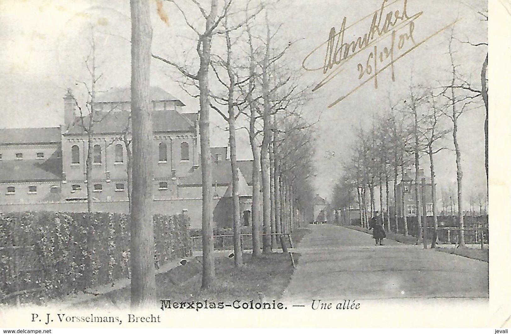 CPA / AK / PK   -  MERXPLAS  - COLONIE   Una Allée - Merksplas