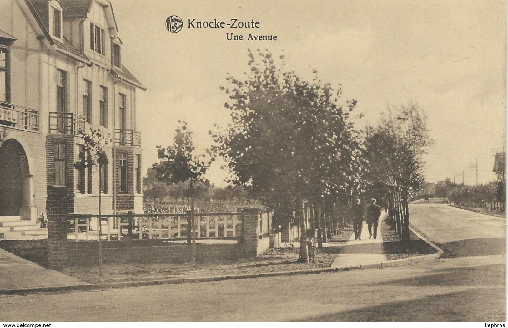 KNOKKE - KNOCKE-ZOUTE : Une Avenue - CPA PEU COURANTE - Knokke