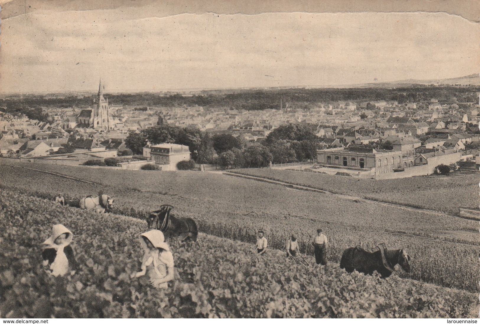 51 - AY - Champagne Pommery & Greno Cueillette Des Raisins Noirs - Ay En Champagne