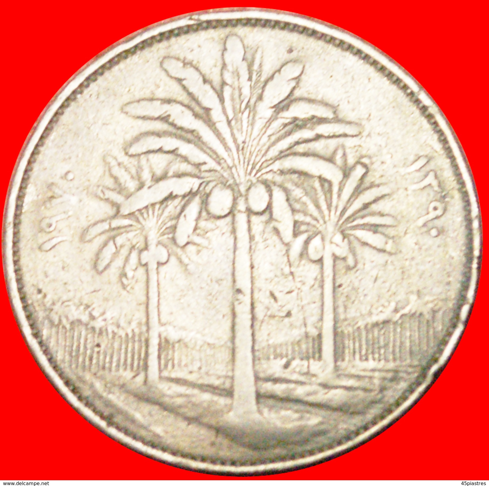 § PALMTREES: IRAQ &#x2605; 100 FILS 1390-1970! LOW START&#x2605; NO RESERVE! - Iraq