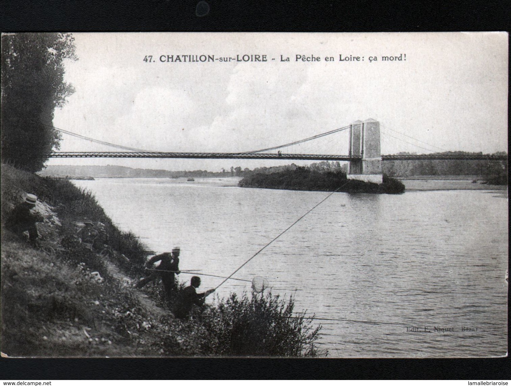 45, Chatillon Sur Loire, La Peche En Loire, ça Mord - Chatillon Sur Loire