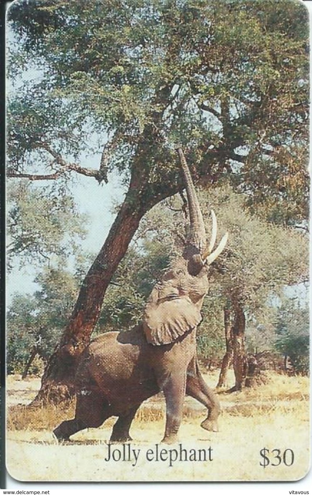 éléphant Elephant Animal Télécarte ZIMBABWE  Phonecard  Karte (S.358) - Zimbabwe