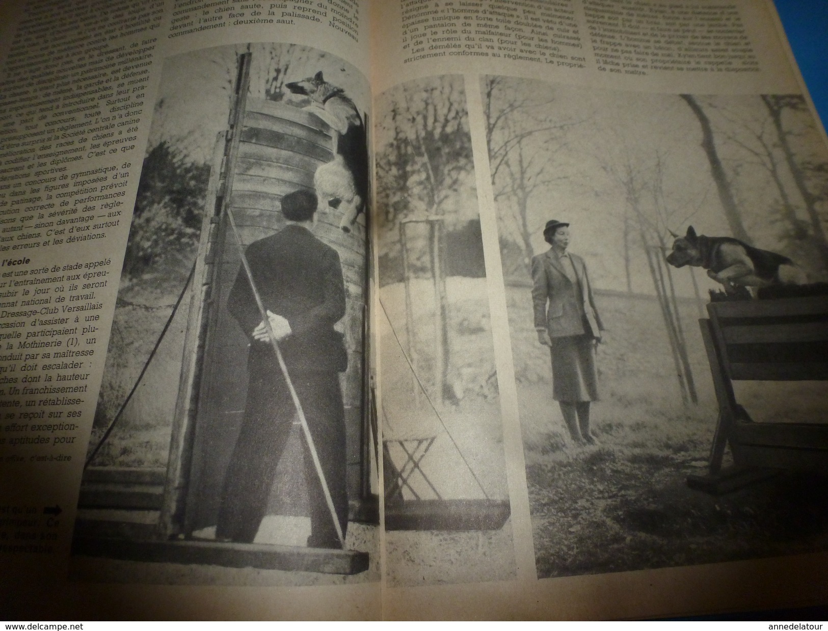 1954 SCIENCE Et VIE N° 441 : Dressage Des Chiens De Garde;..etc..voir SOMMAIRE En 2e Photo - Science