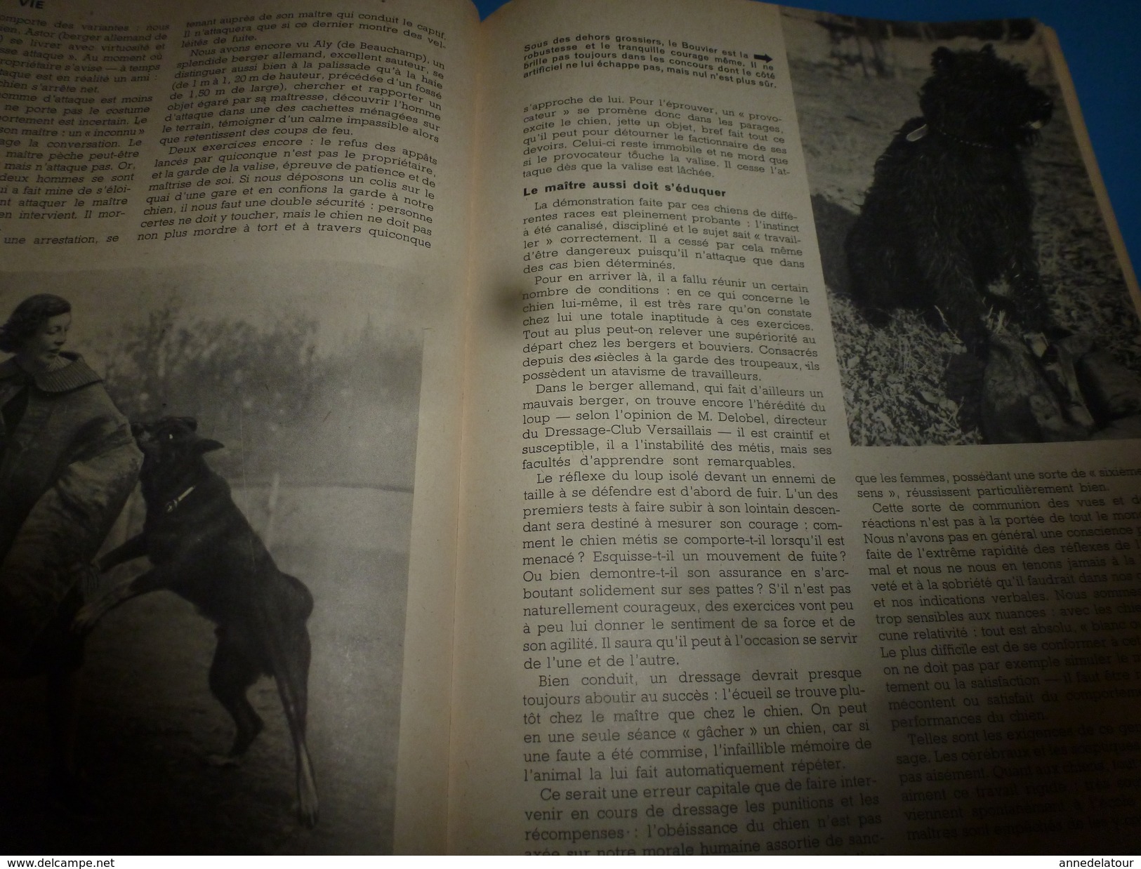 1954 SCIENCE Et VIE N° 441 : Dressage Des Chiens De Garde;..etc..voir SOMMAIRE En 2e Photo - Science