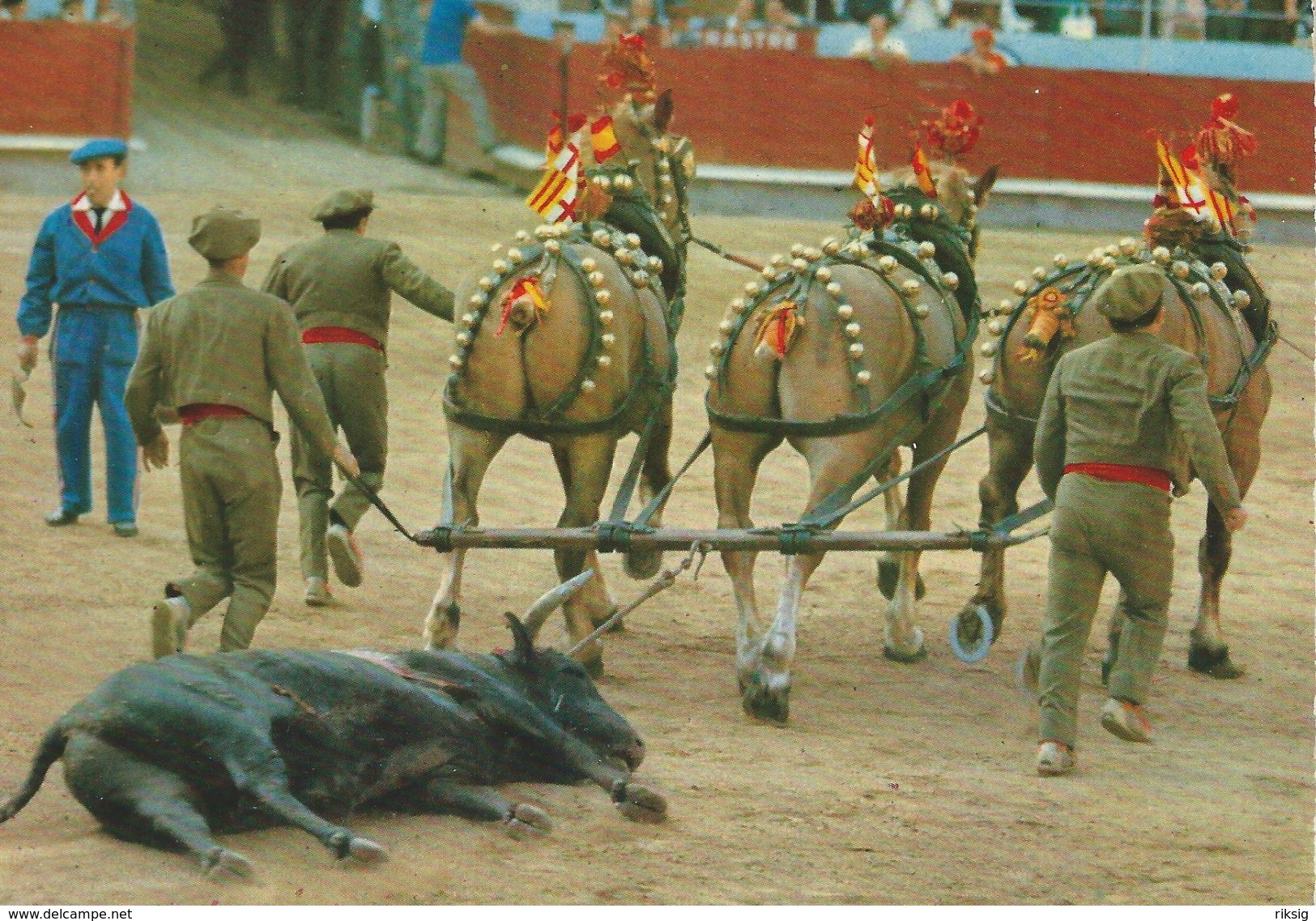 Corrida De Toros.   Course De Taureaux - Bull Race.  # 06999 - Corrida